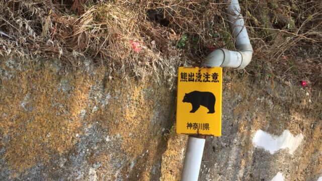 熊注意の標識（神奈川の大山）