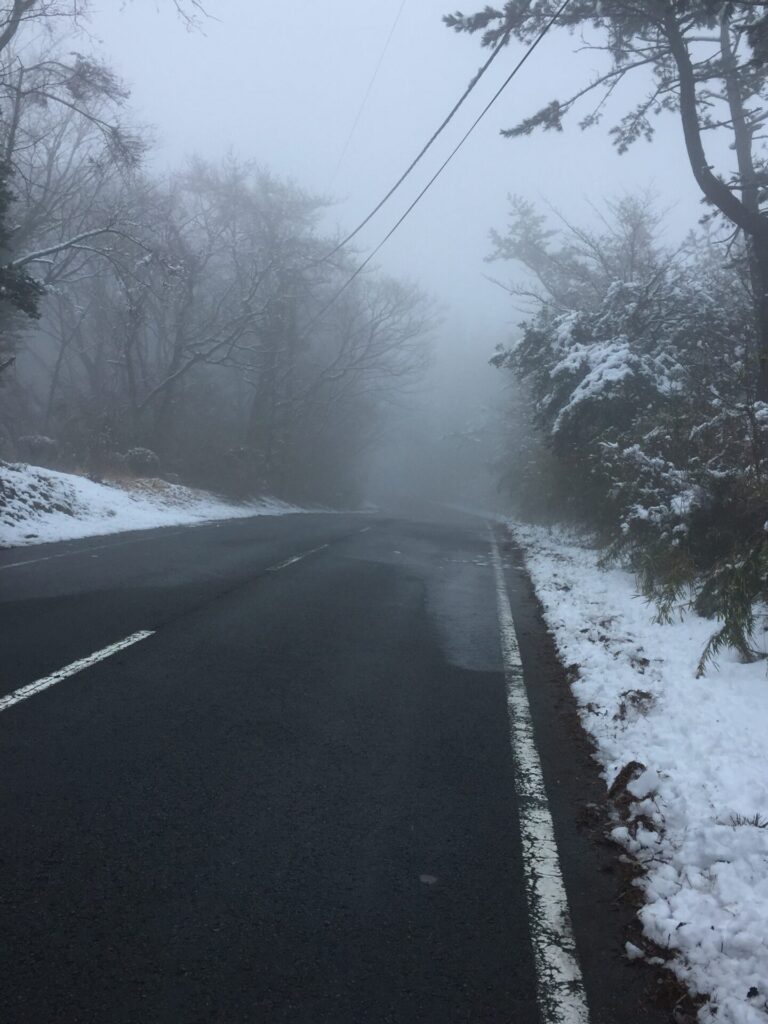 霧で見通しの悪い道路